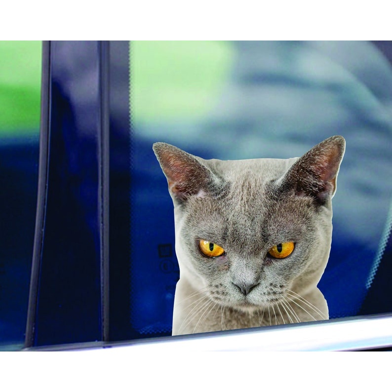 Cat sticker -Multiple Sizes - vinyl decal by Growing Tree Gallery