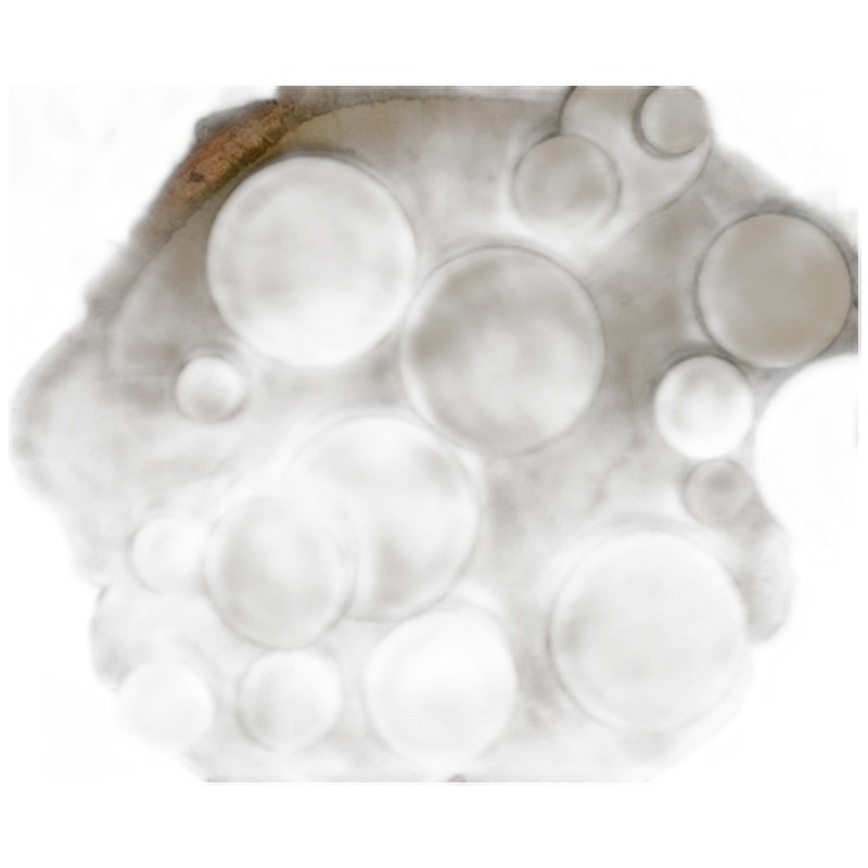 Cirlce Wood Cutout - wood cutout by Growing Tree Gallery