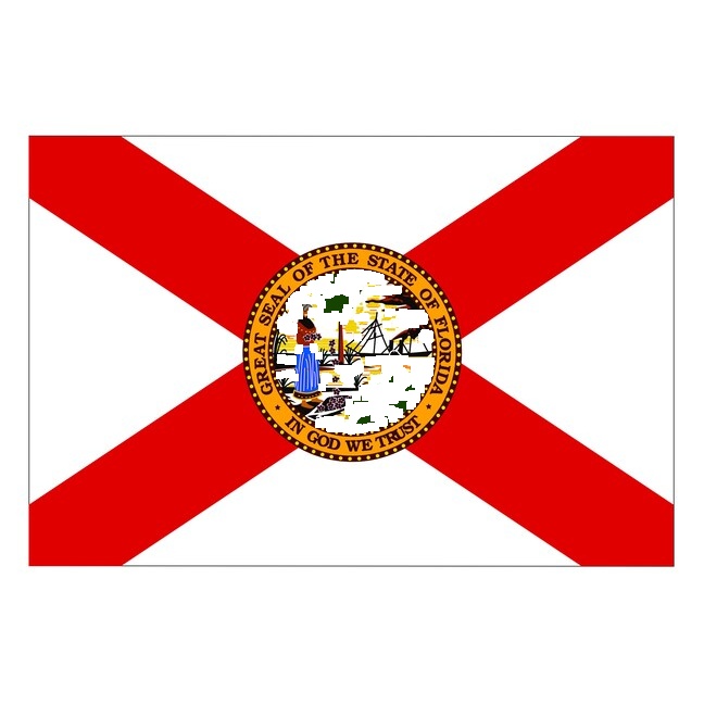 Florida Flag Car Decal - premium vinyl decal by Growing Tree Gallery