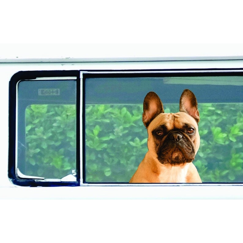 French Bulldog car decal, French Bull dog decal, frenchy sticker - vinyl decal by Growing Tree Gallery