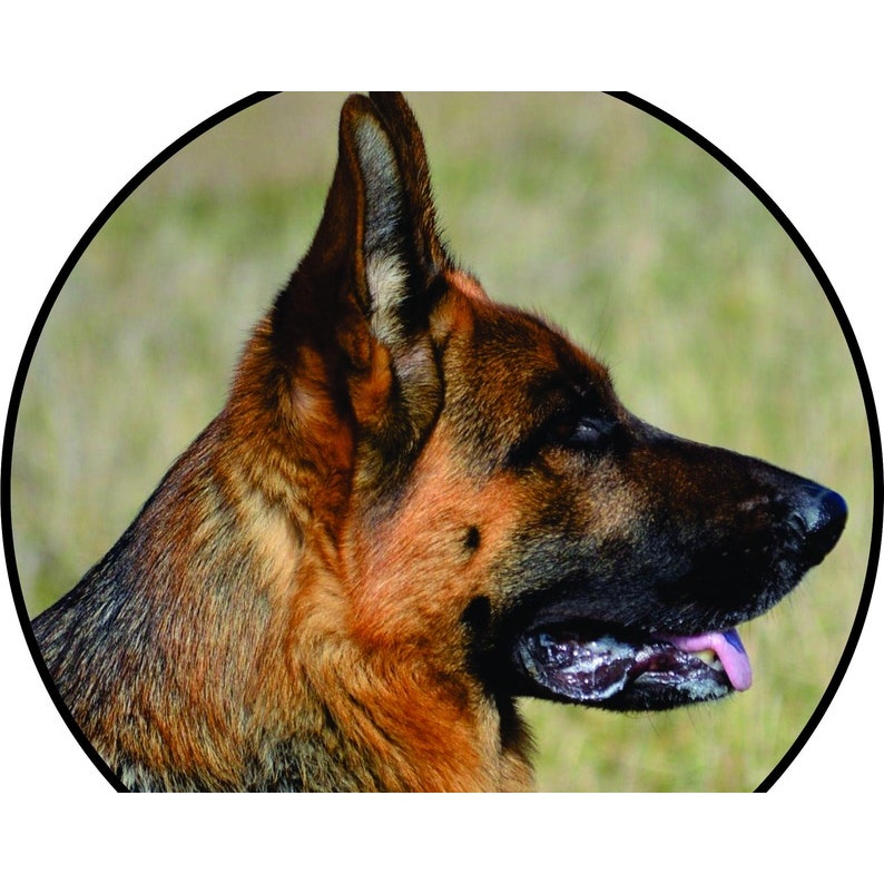 German shepherd - Multiple Sizes lap top decal - GSD car decal - vinyl decal by Growing Tree Gallery