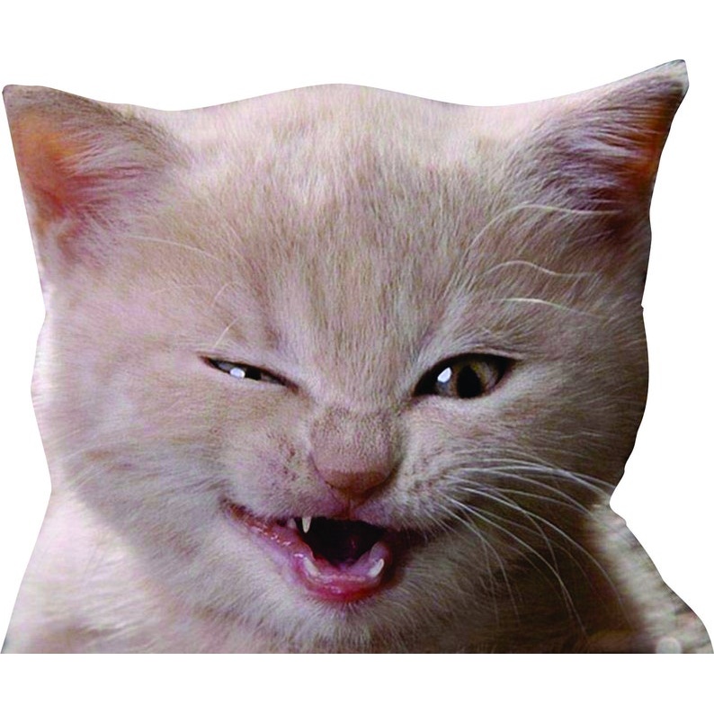 Kitten Car Decal - Multiple Sizes orange tabby cat, cat sticker, cat decal - vinyl decal by Growing Tree Gallery