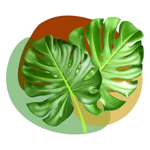 Monstera leaf decal - vinyl decal by Growing Tree Gallery