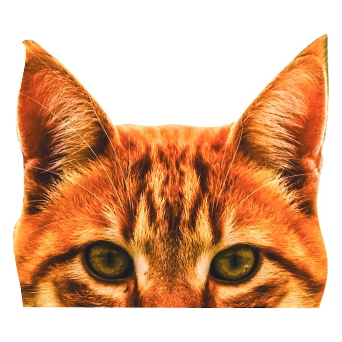 orange tabby cat eyes 2 car decal - Multiple Sizes tabby cat - premium vinyl decal by Growing Tree Gallery