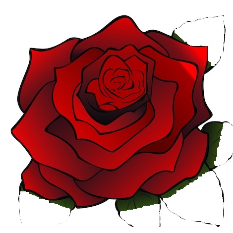 Rose Decal - Multiple Sizes Laptop sticker - Outdoor Vinyl - Car Decal - vinyl decal by Growing Tree Gallery