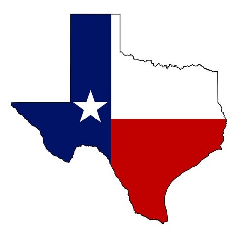 Texas decal - Texas Car Decal - Laptop sticker - Outdoor Vinyl - Car Decal - premium vinyl decal by Growing Tree Gallery