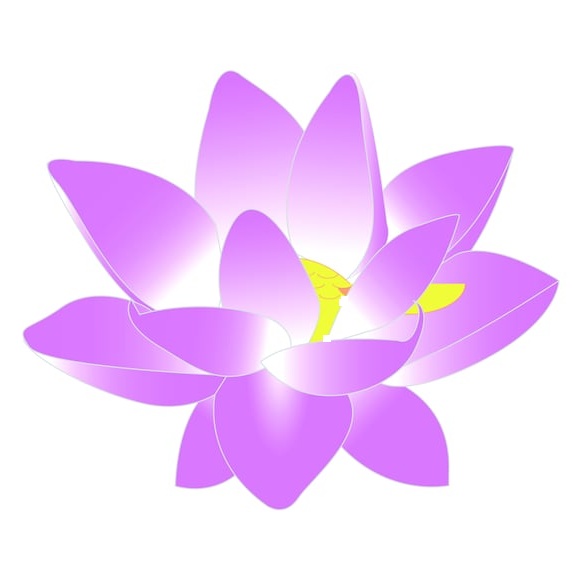 Water Lily - Multiple Sizes Decal - Laptop sticker - Outdoor Vinyl - car decal - vinyl decal by Growing Tree Gallery