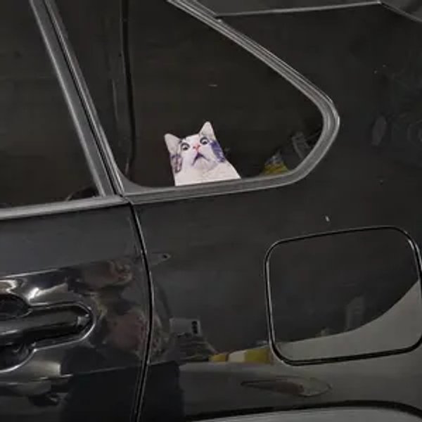 Customer review photo 16