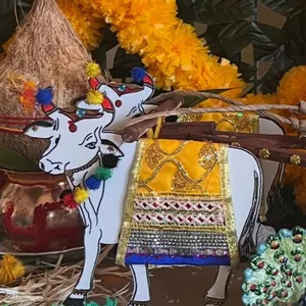 Customer review photo 19